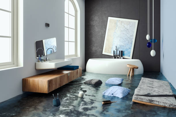 Best Professional water damage repair  in Mcsherrystown, PA
