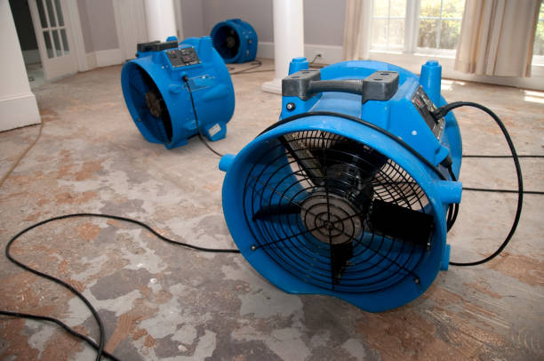 Best Water damage restoration near me  in Mcsherrystown, PA