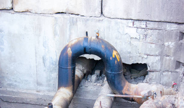 Best Carpet water damage restoration  in Mcsherrystown, PA
