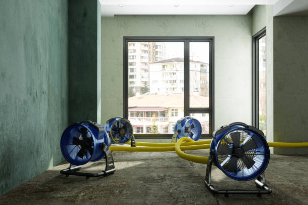 Best Ceiling water damage repair  in Mcsherrystown, PA